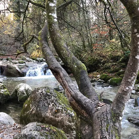 Les Afforêts 3*