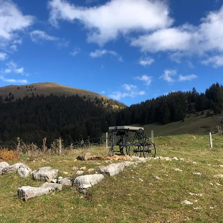 Les Afforêts
